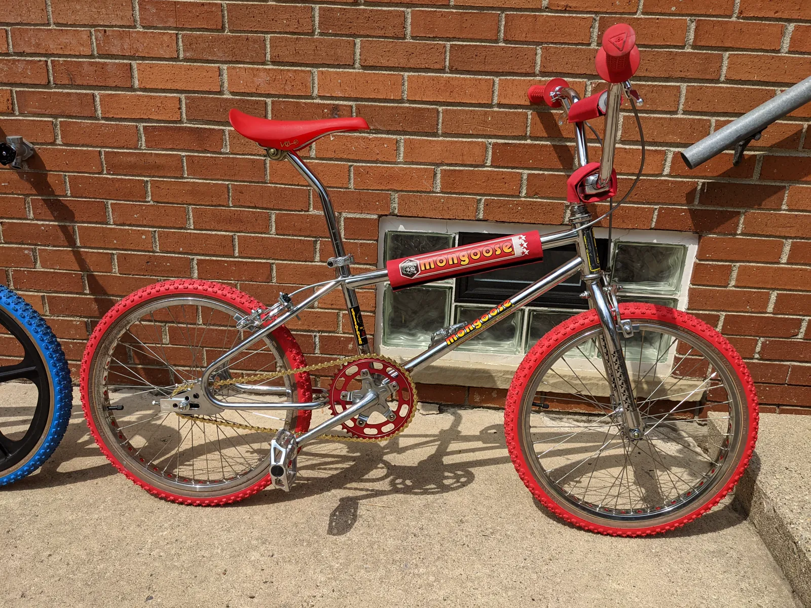 Early side profile of the red Californian against brick.