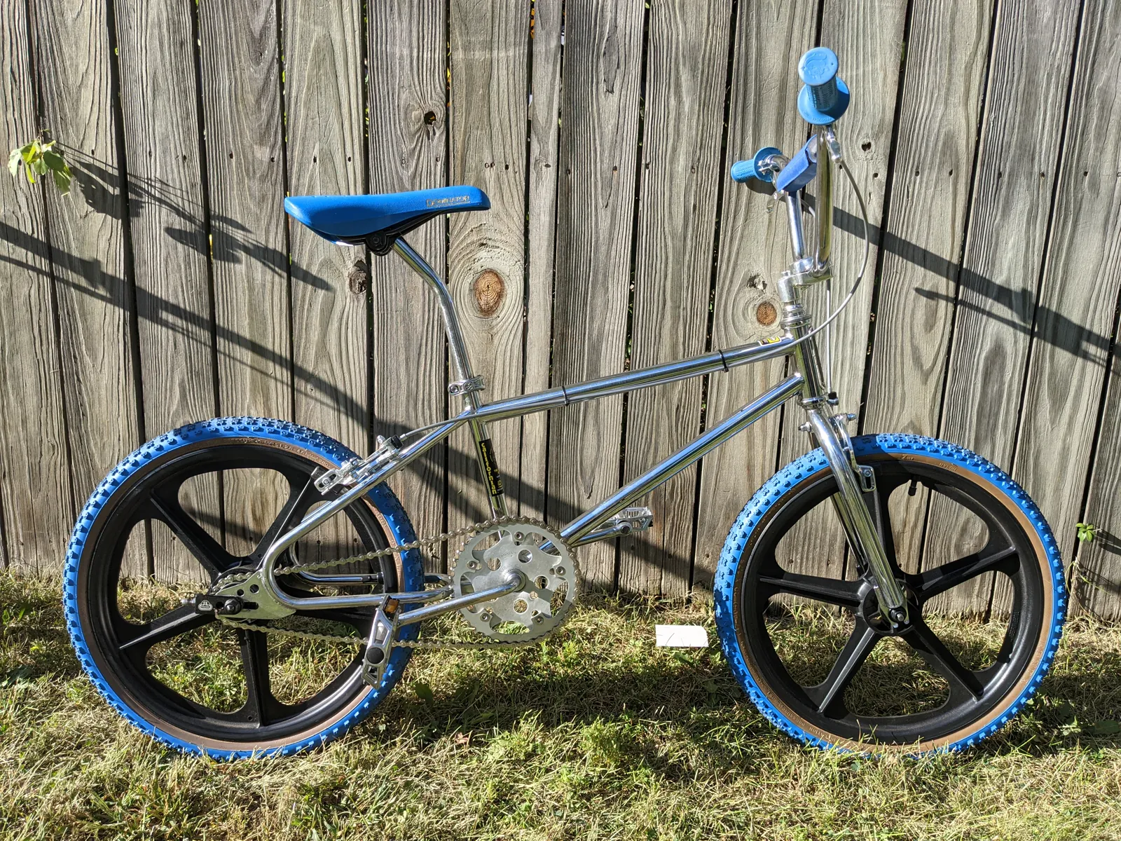 Finished blue 1985 Californian shown in full profile against a wood fence.