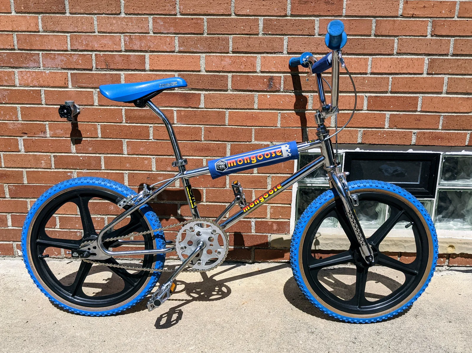 Final side profile of the blue 1985 Californian.