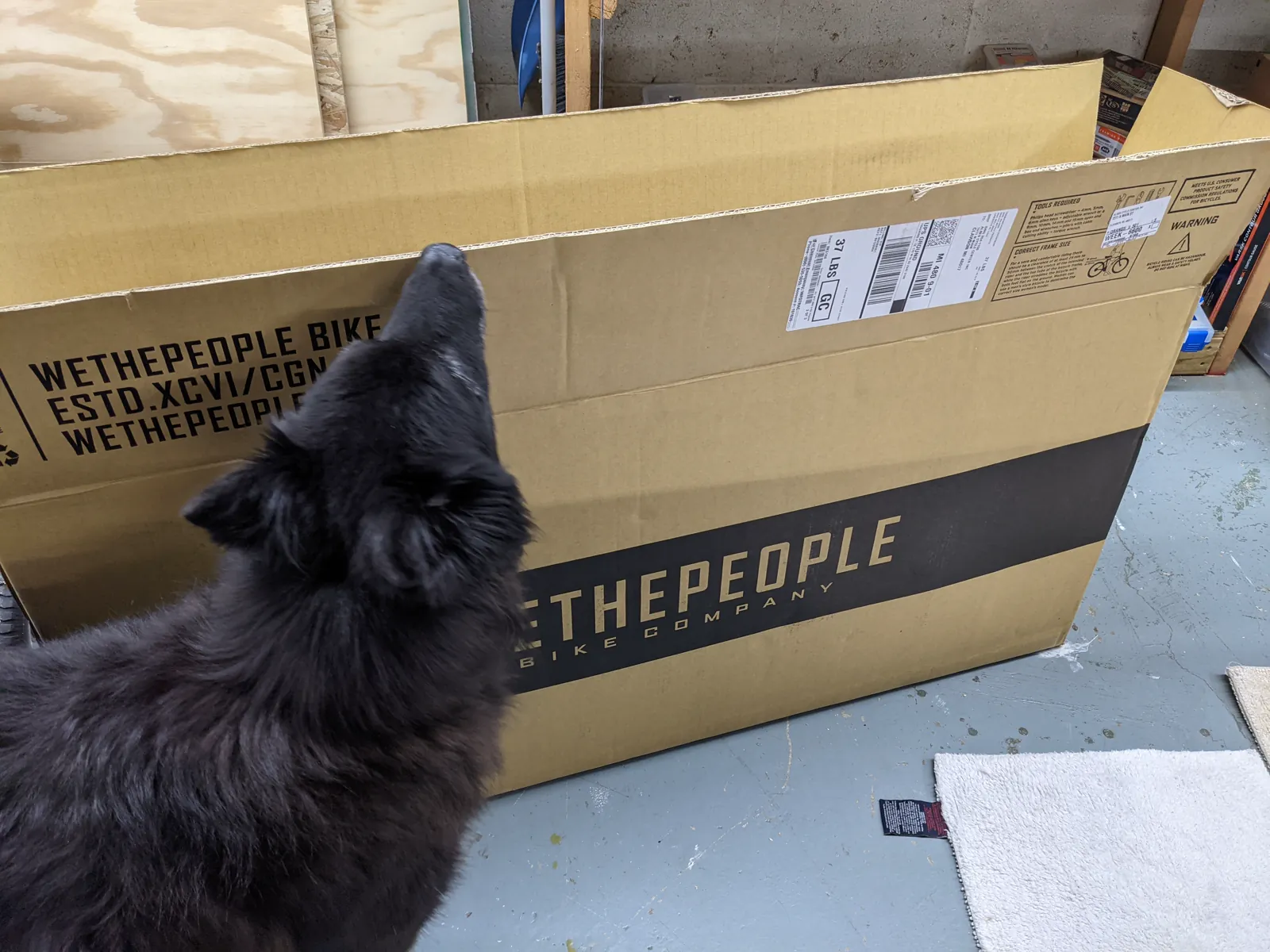 WeThePeople shipping box in a workshop with a black dog inspecting it.
