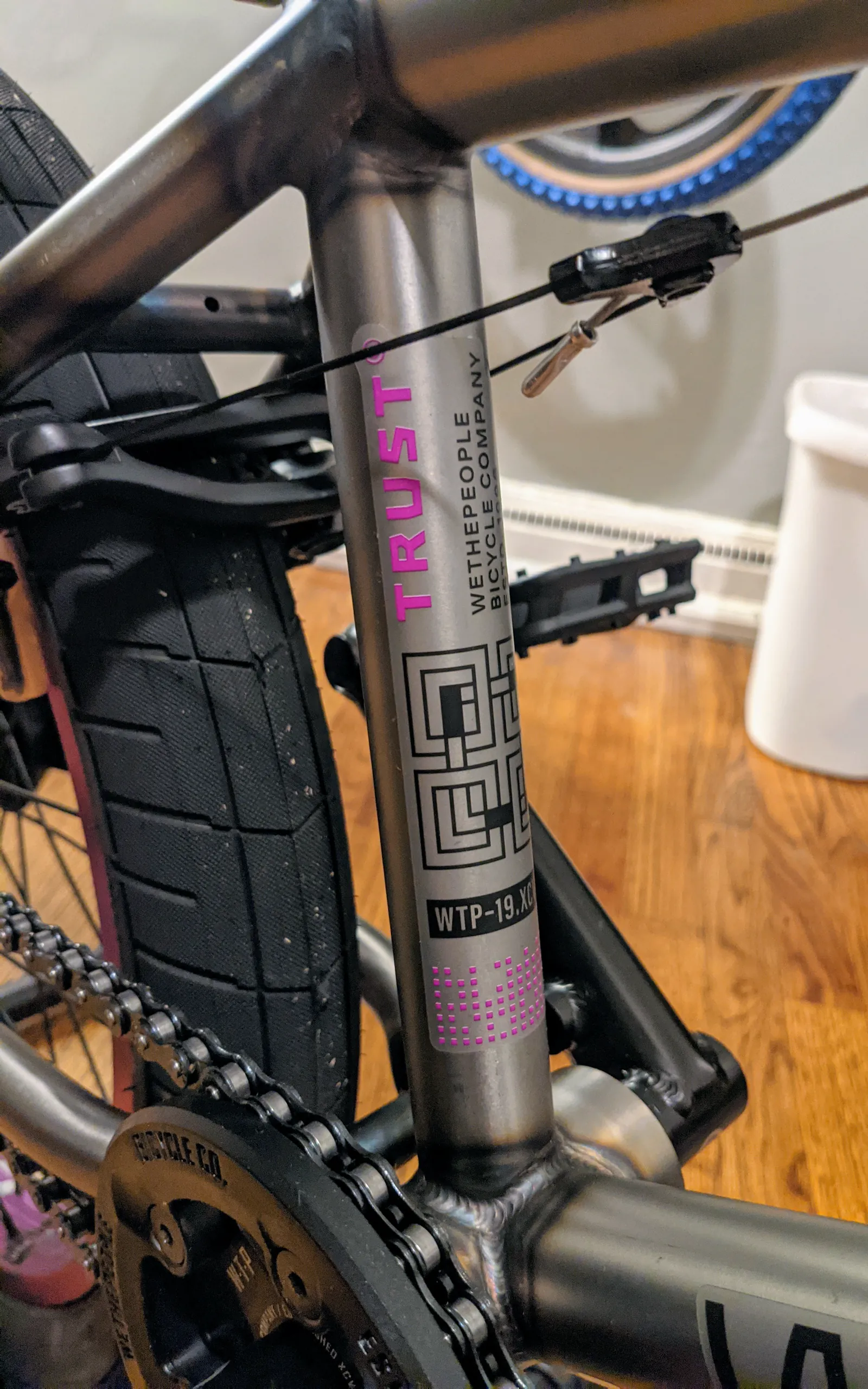 Close detail of graphics and lettering on the raw WTP frame.