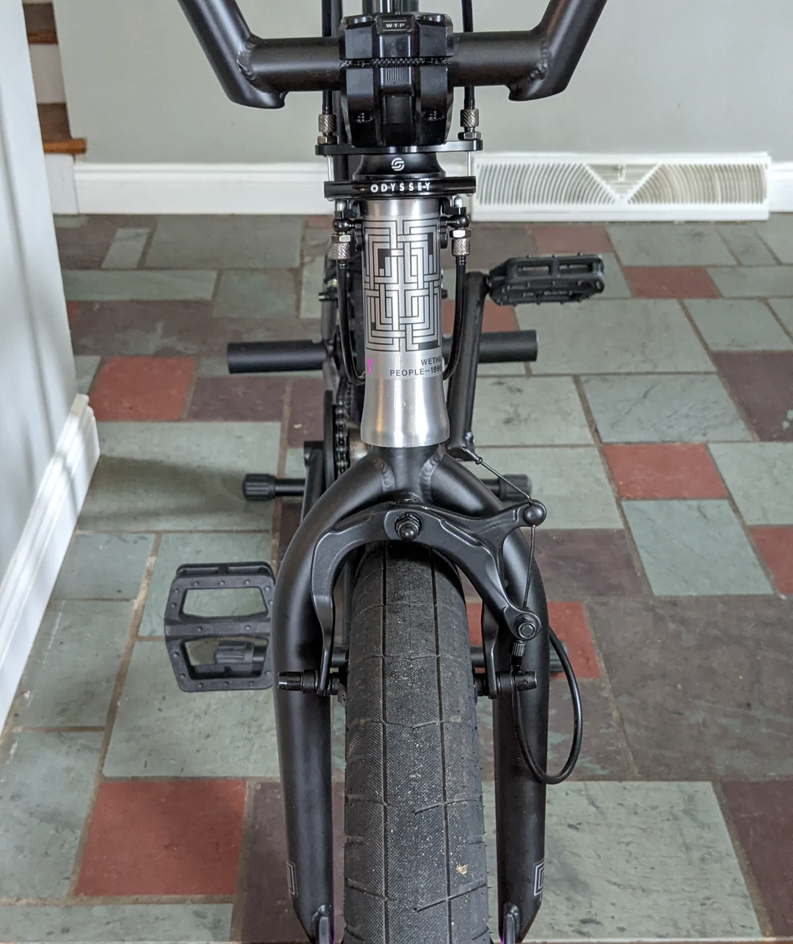 Final centered detail of the raw WTP headtube, black fork, front tire, pedals, and pegs.