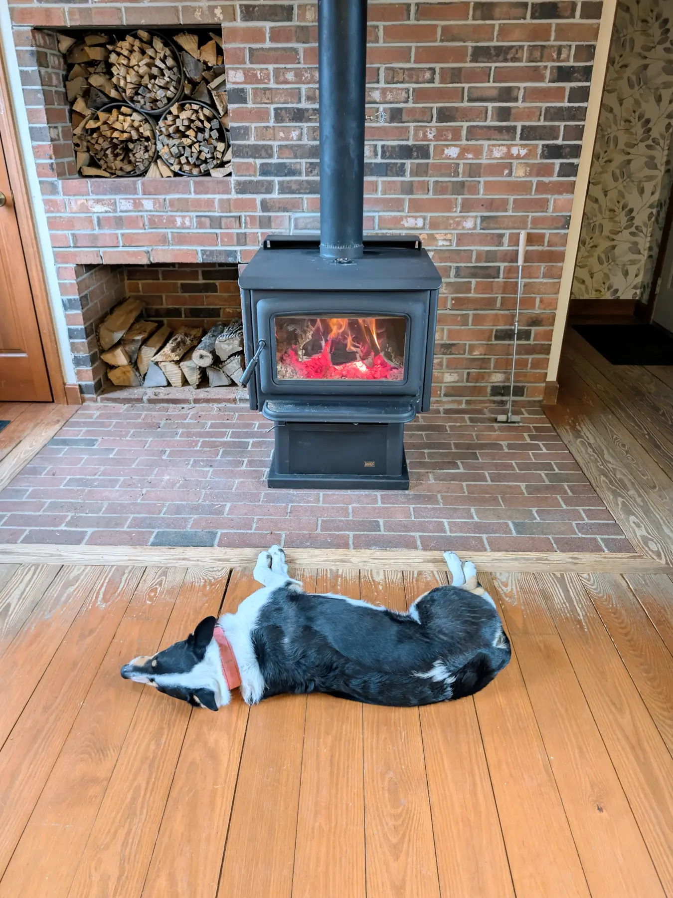 Room-wide morning view of the operating woodstove, completed pipe route, brick hearth, and dog resting in front.