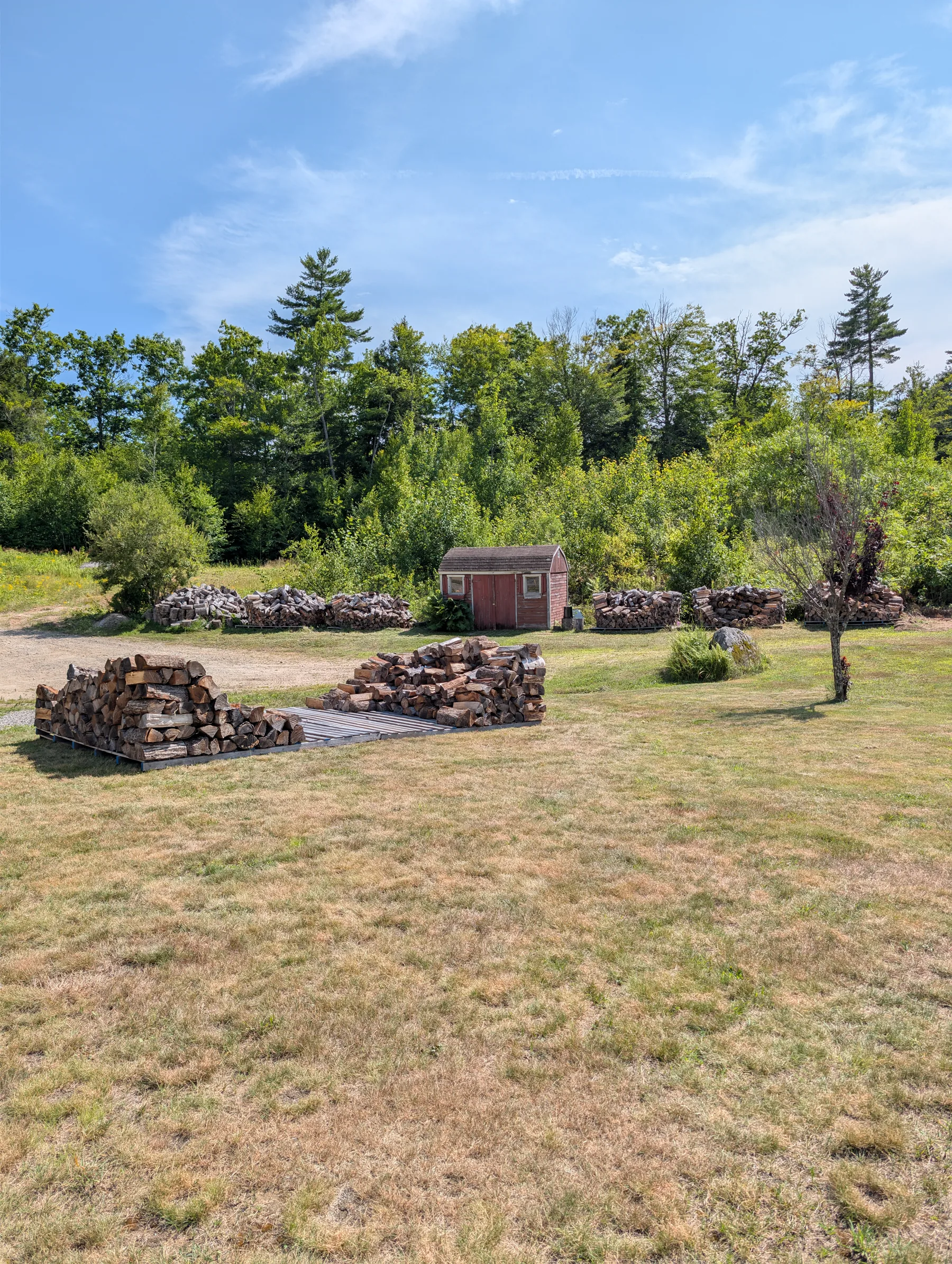 Early view of the new firewood stack on two long pallets, with one corner tower started and loose wood nearby.
