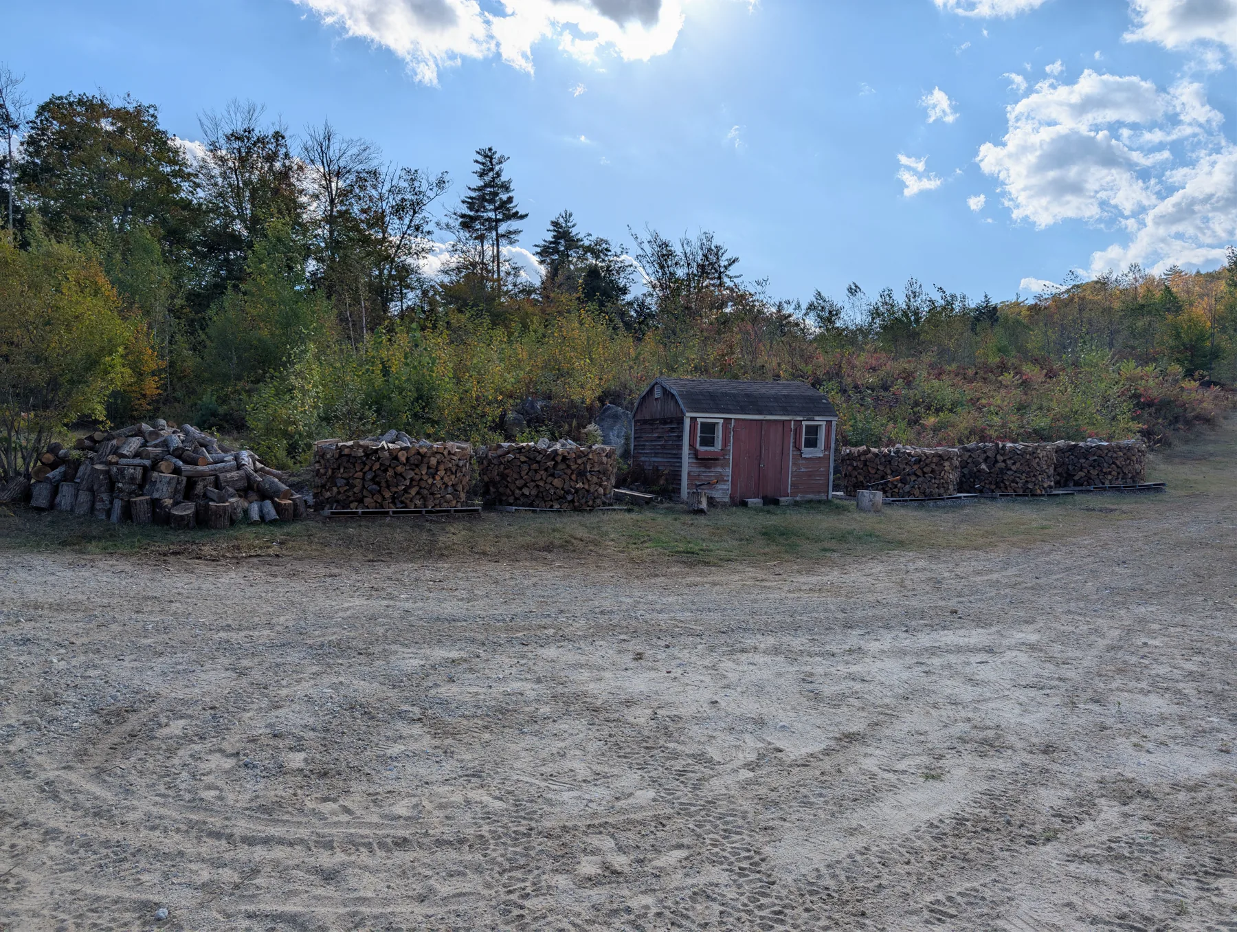 The long, low circular Scandinavian-style firewood stacks from the 2024 experiment, arranged around a small shed.