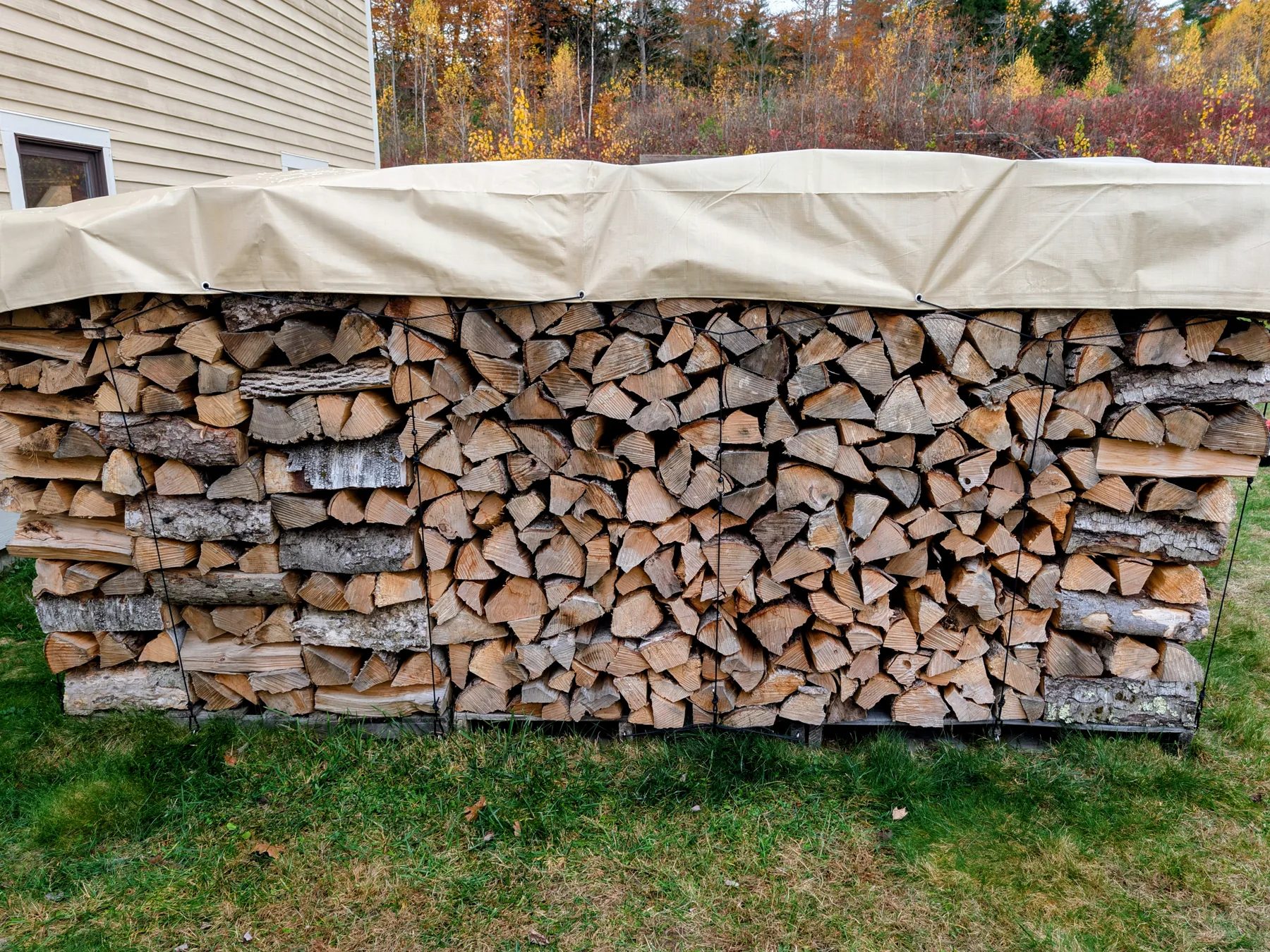 Covered long face of a dense firewood stack with multiple black tie-downs spaced across the tarp and anchored at pallet level.