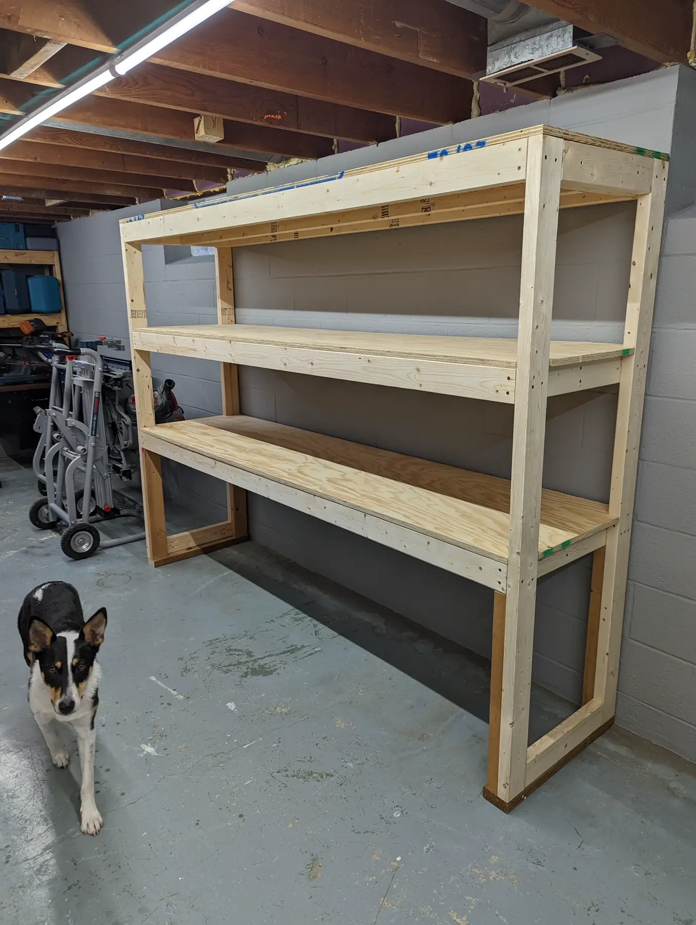 Completed empty workshop shelving positioned along the basement wall.